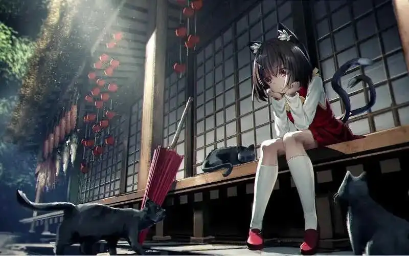 西檬之家brat属性是什么?字母圈新人如何理解和定位自己? 一