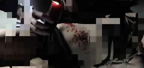 西檬之家字母圈brat属性解读与实践指南 一