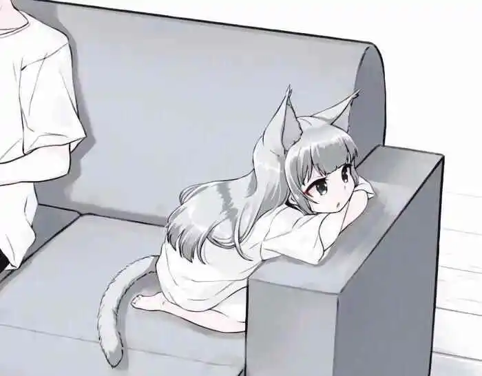 西檬之家字母圈brat属性深度解析与实践指南 一