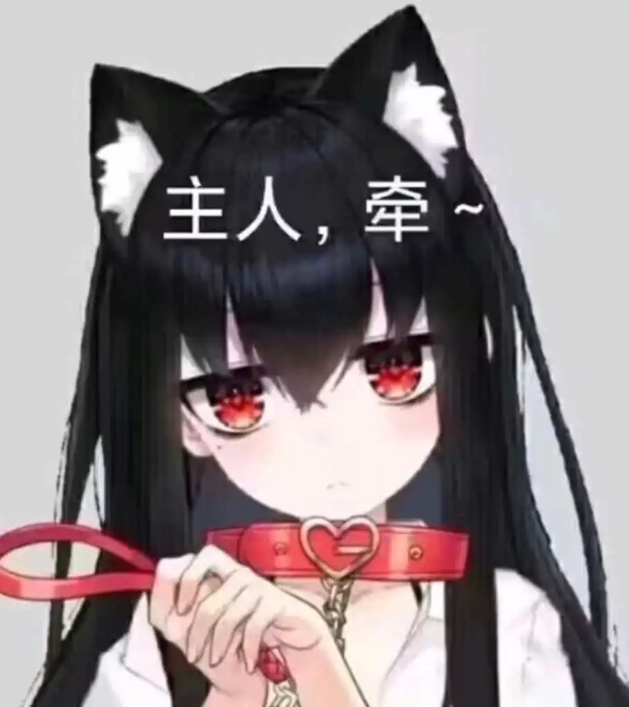 西檬之家K8是什么?字母圈新人必读 一
