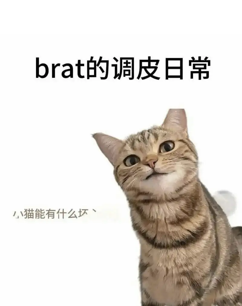 西檬之家字母圈入圈指南:新手必知的安全底线 一