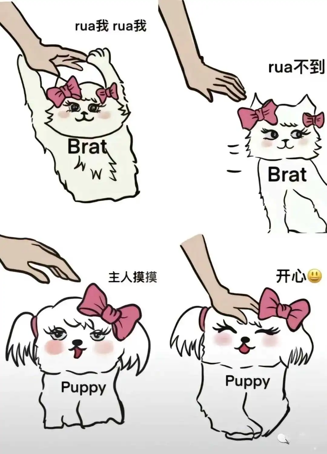 西檬之家Tickle玩法详解?字母圈新人入圈 一