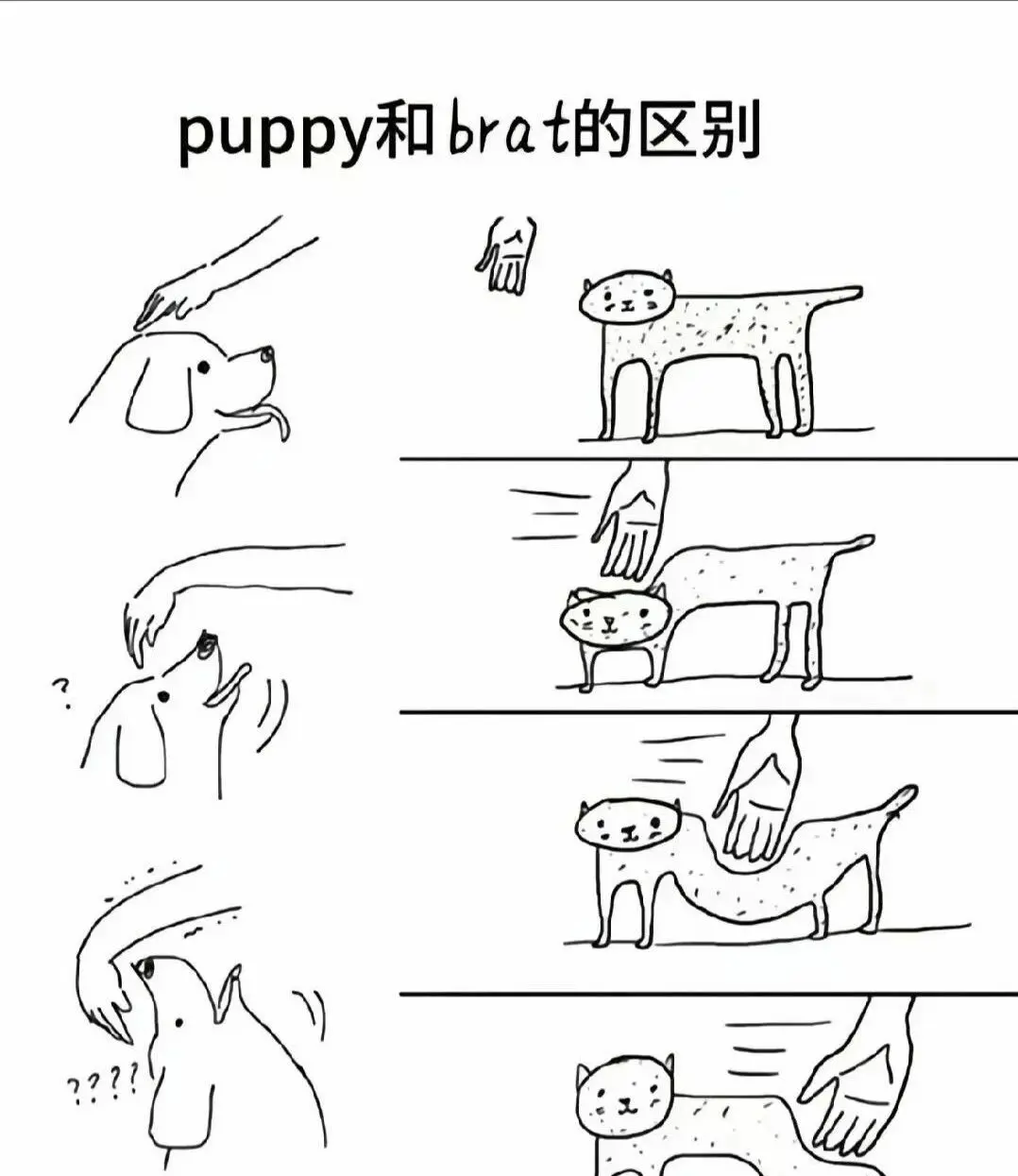 西檬之家字母圈Dirty Talk入门指南 一