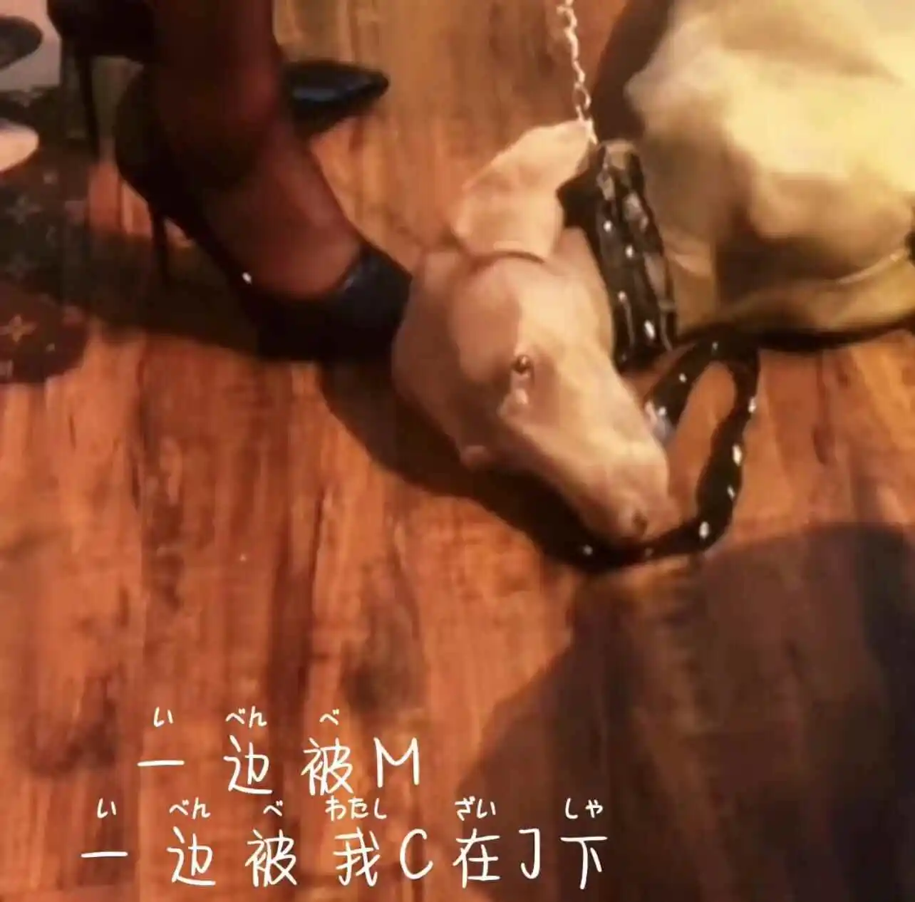 西檬之家BDSM入门指南 一
