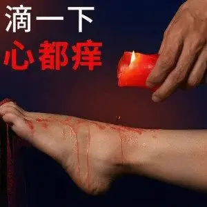 西檬之家k9犬系是什么? 一