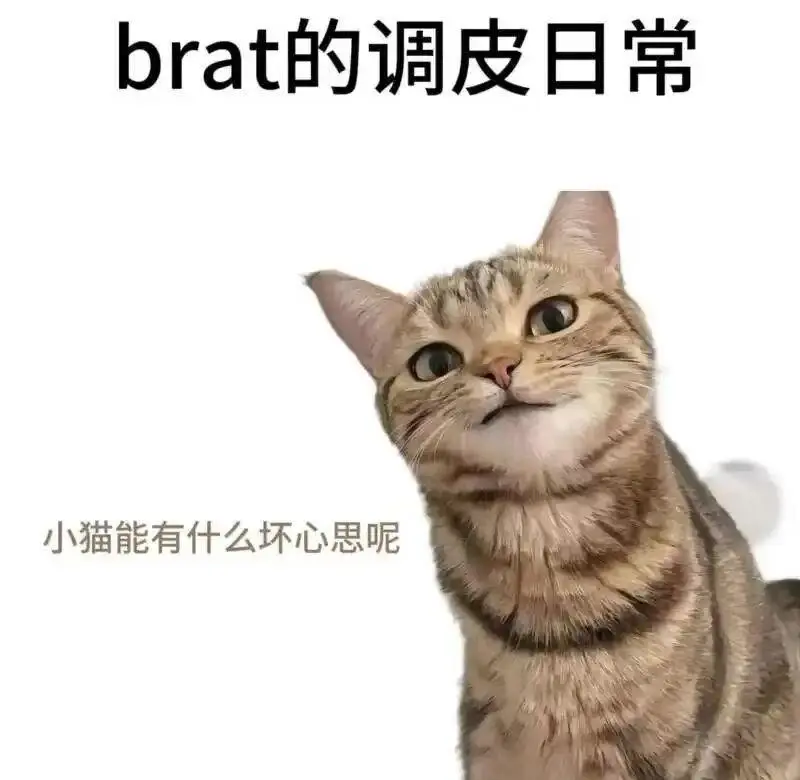 西檬之家BDSM入圈新手指南 一