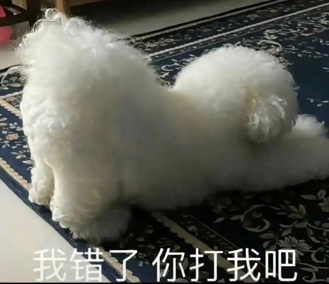 西檬之家管教怎么玩?字母圈新人入门 一