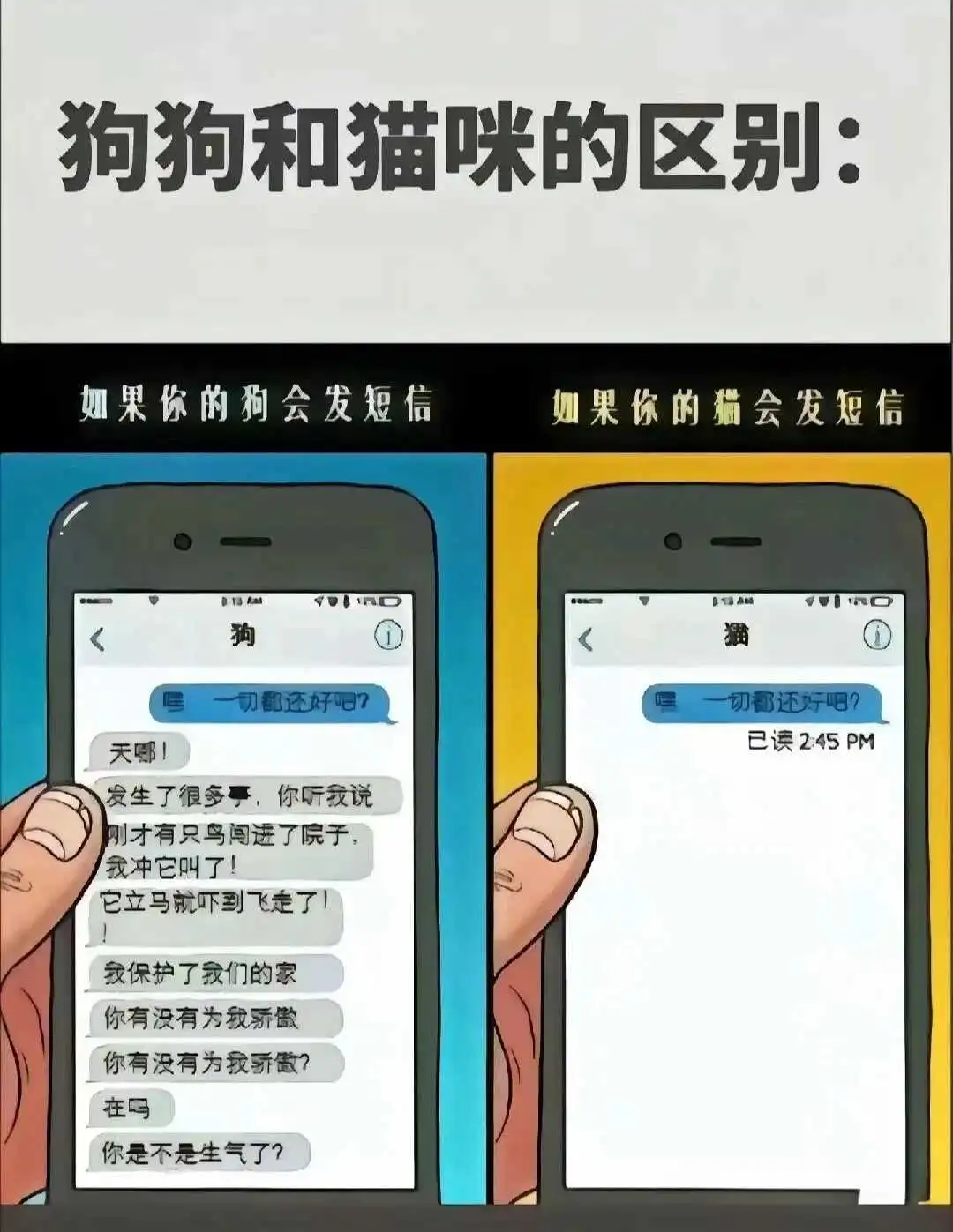 西檬之家sm亚文化现状解析 一